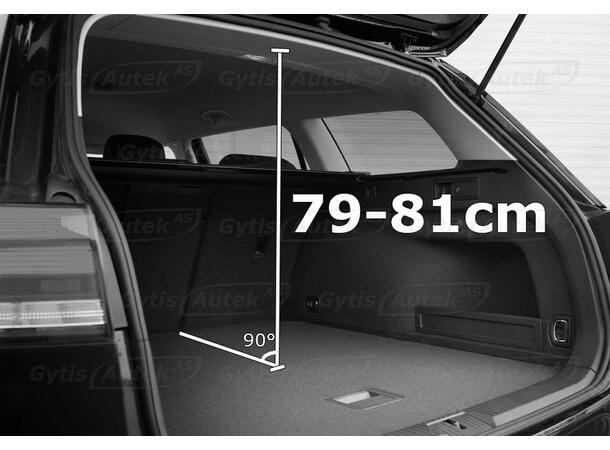 Hunde/Lastegitter med skillevegg | Audi Q4 e-tron | gytisautek.no