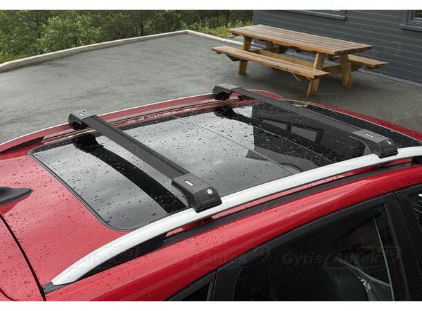Takstativ | MG ZS EV 2020-> | gytisautek.no