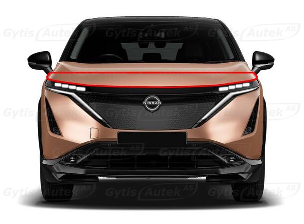 PPF folie | Nissan Ariya 2022-> | Panser | gytisautek.no