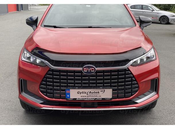 BYD Tang 2021-> Panserbeskytter | gytisautek.no