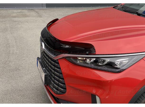BYD Tang 2021-> Panserbeskytter | gytisautek.no