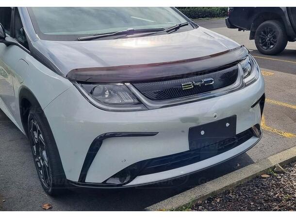 Panserbeskytter BYD Dolphin 2024-> 