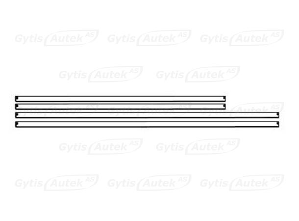 Dørkantbeskyttere | PPF-folie| BMW 5 ser. G60 2024->| gytisautek.no