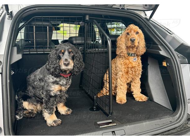 Hunde/Lastegitter med skillevegg | Peugeot 2008 2020-> |gytisautek.no