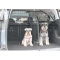 Hunde/Lastegitter med skillevegg Peugeot 5008 2018-2023