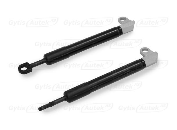 Baklukedemper | Toyota Hilux 2005-2011 | gytisautek.no