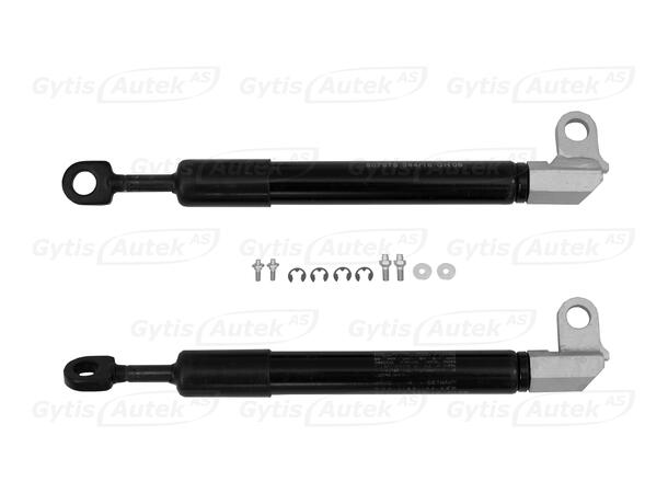 Baklukedemper | Toyota Hilux 2005-2011 | gytisautek.no