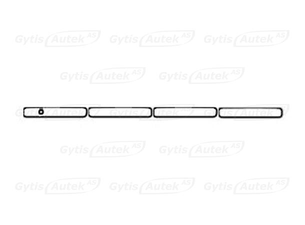 Dørhåndtakbeskyttere | PPF | Hyundai IONIQ 9 2025-> | gytisautek.no