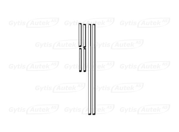 Dørkantbeskyttere | PPF | MB Sprinter W907-910 2018-> | gytisautek.no