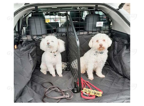 Hunde/Lastegitter med skillevegg Toyota Yaris Cross 2022-> 