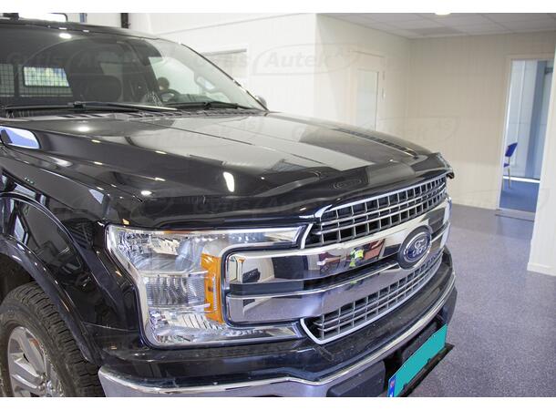 Ford F-150 2015-2020 Panserbeskytter | gytisautek.no