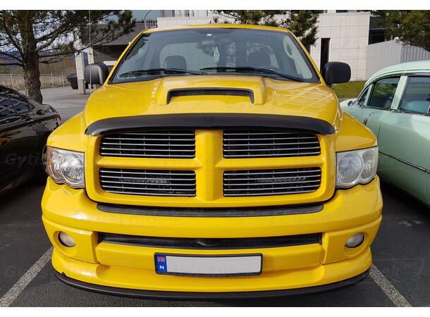 Dodge RAM 2002-2005 Panserbeskytter | gytisautek.no