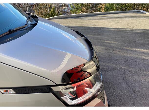 VW T6 2016-> Panserbeskytter | gytisautek.no