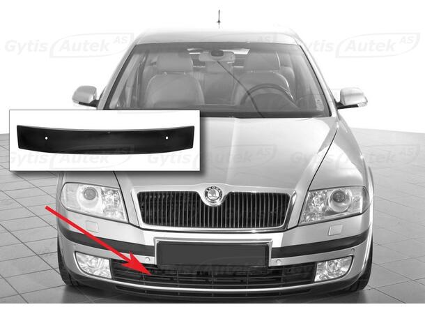 Vinterdeksel til Skoda Octavia 2004-2009 | gytisautek.no