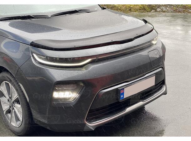 Kia e-Soul 2019-> Panserbeskytter | gytisautek.no