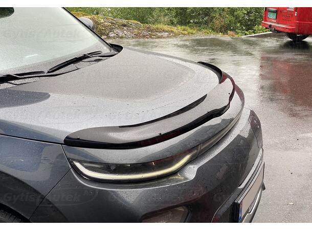 Kia e-Soul 2019-> Panserbeskytter | gytisautek.no