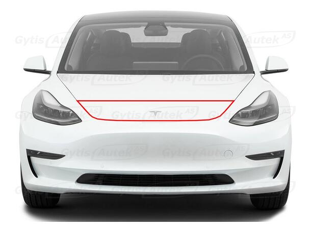 PPF folie | Tesla Model 3 2018-> | Panser | gytisautek.no